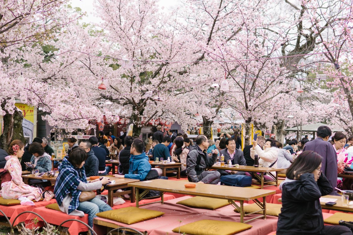 Những địa điểm ngắm hoa anh đào đẹp Nhất Nhật Bản bạn không nên bỏ qua